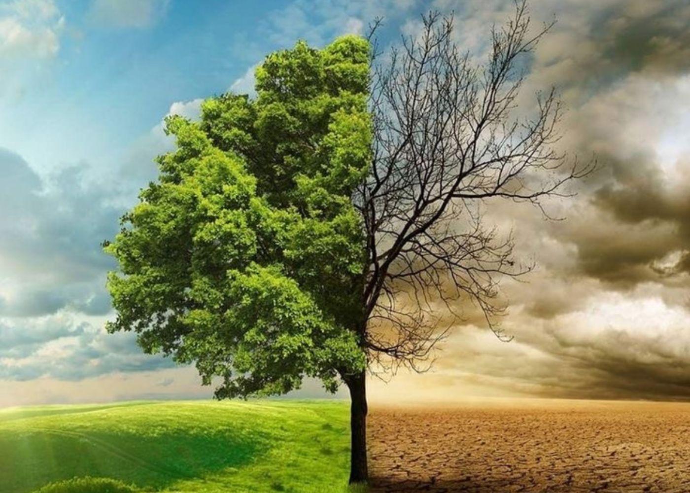 Climate Change and Its Impact on Nigerian Agriculture