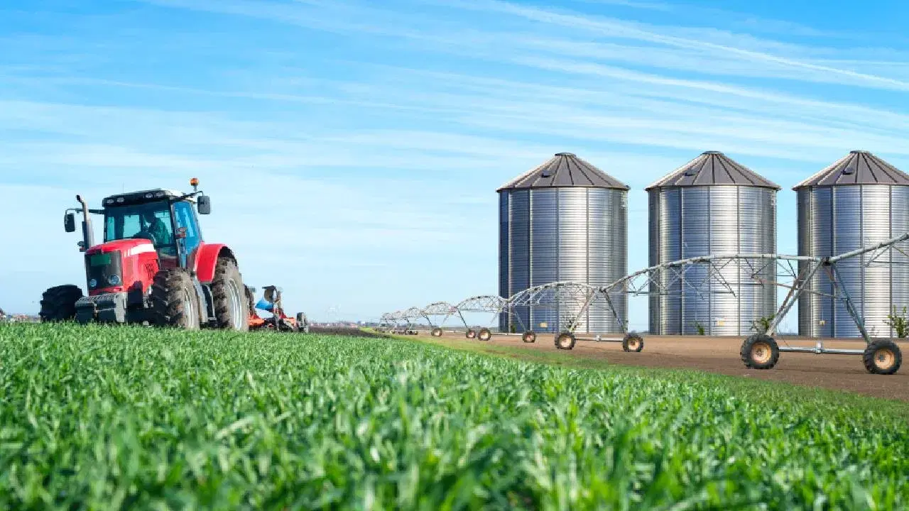 5 Agro-Processing Trends Shaping Investment in Africa