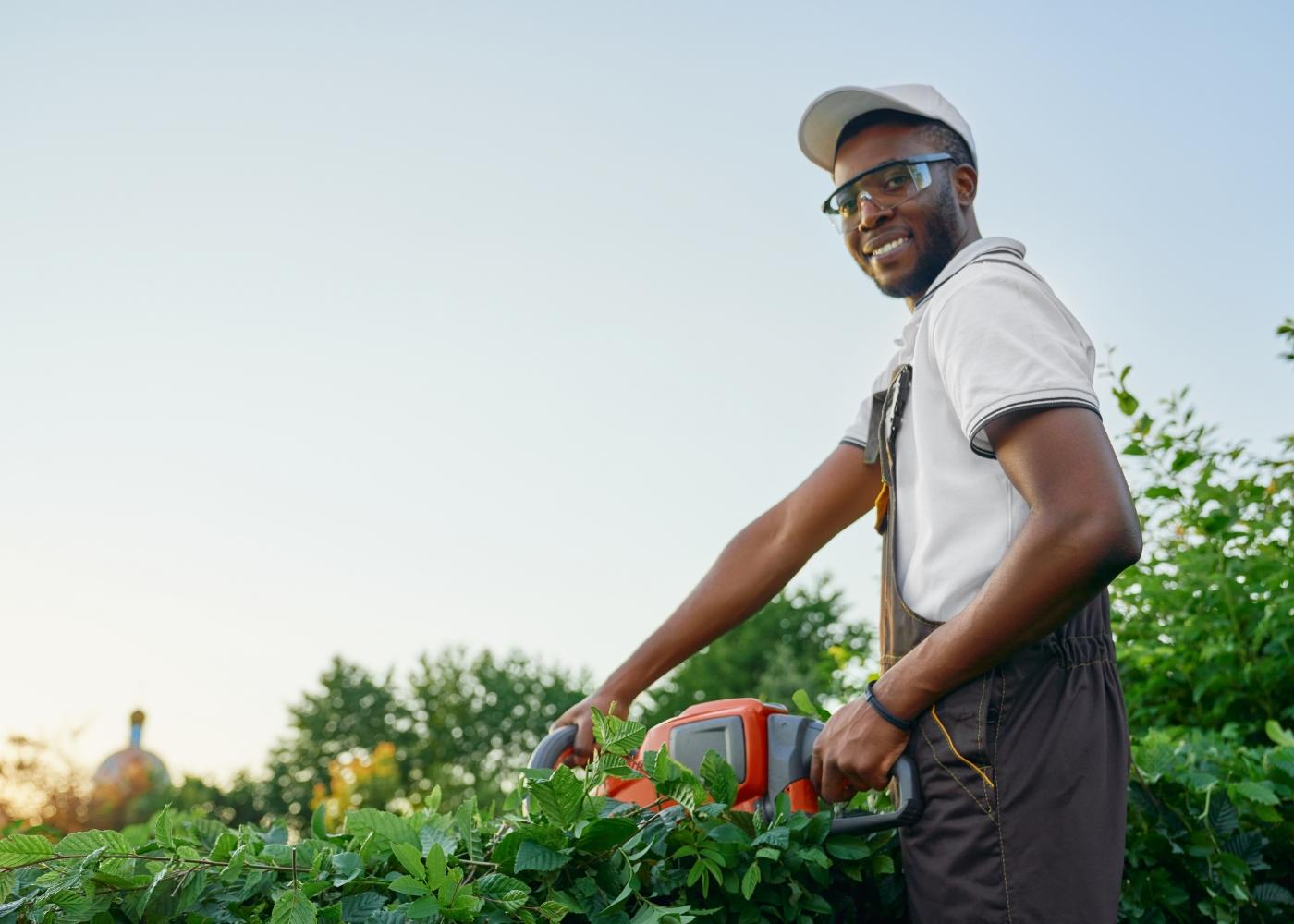 From Policy to Productivity: Rethinking Agriculture in Nigeria