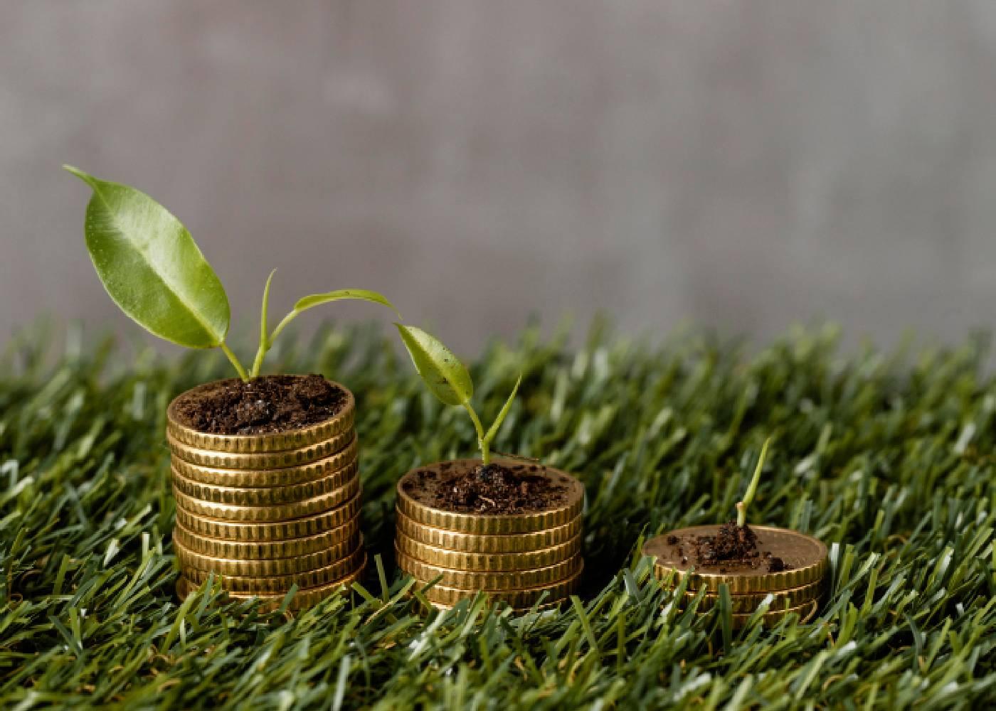 How Agriculture Boosts Africa’s GDP: Opportunities for Investors