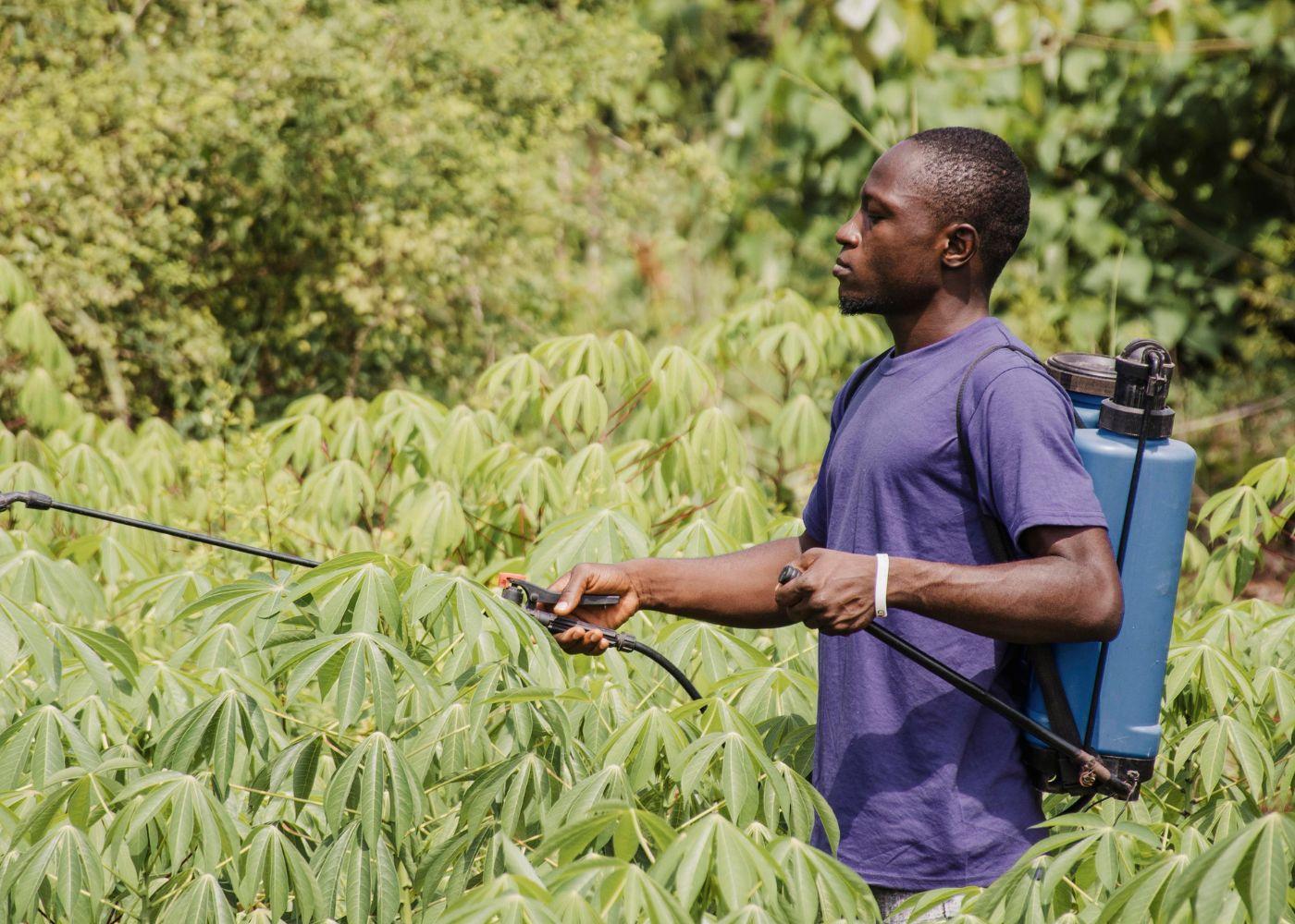 A Guide for Nigerian Farmers on the Proper Usage of Fertilisers