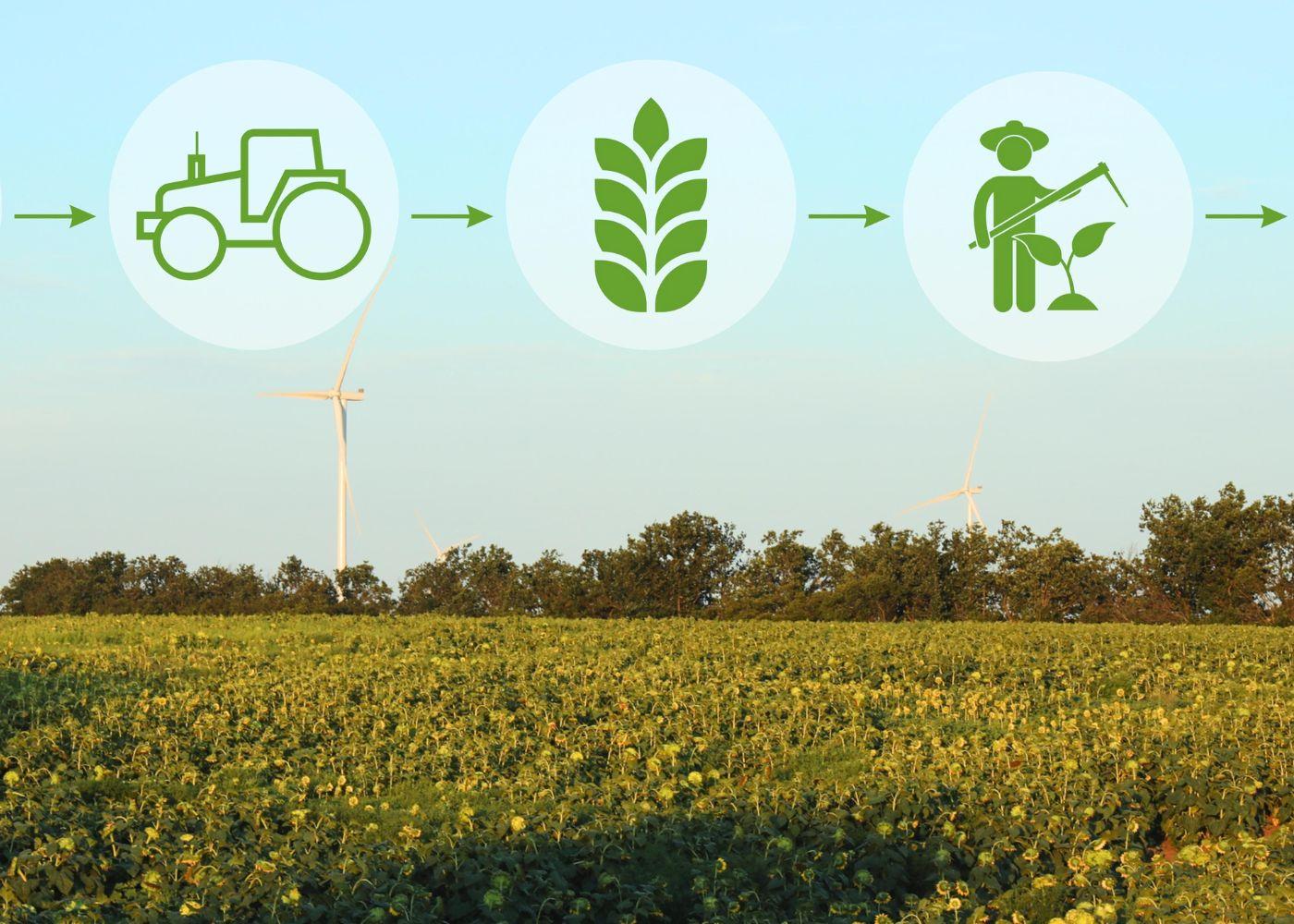 Regenerative Agriculture: Top Trends Shaping Africa in 2026