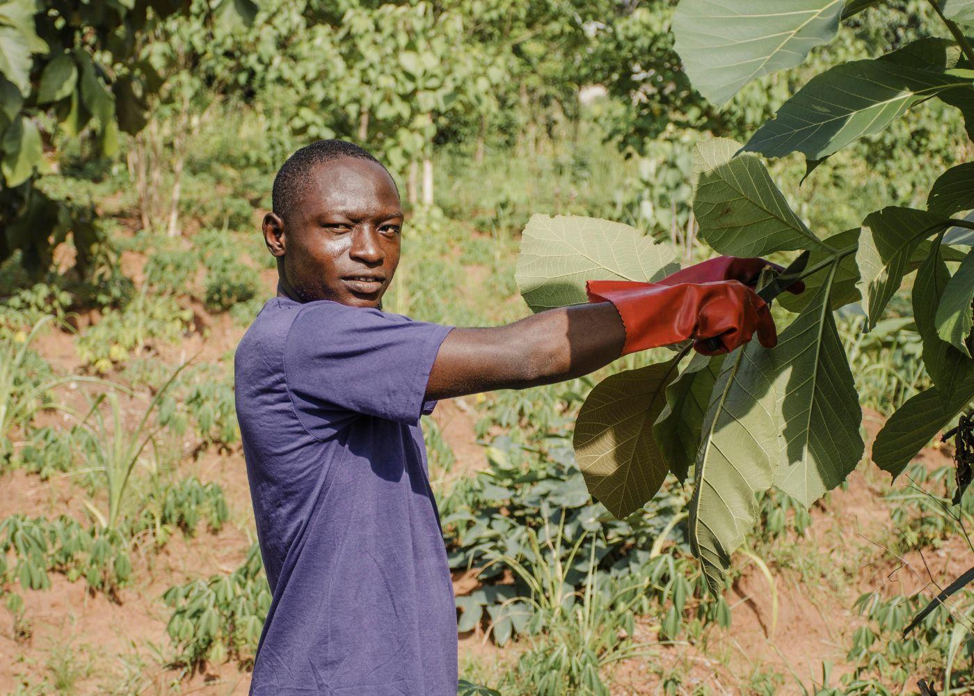 Zamfara, Sokoto Farmers Seek Security Amid Harvest Fears