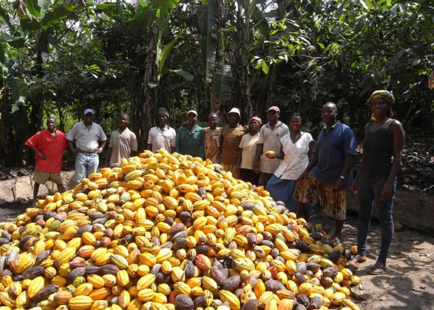 How Off-Takers Are Transforming Nigeria’s Cocoa and African Farming