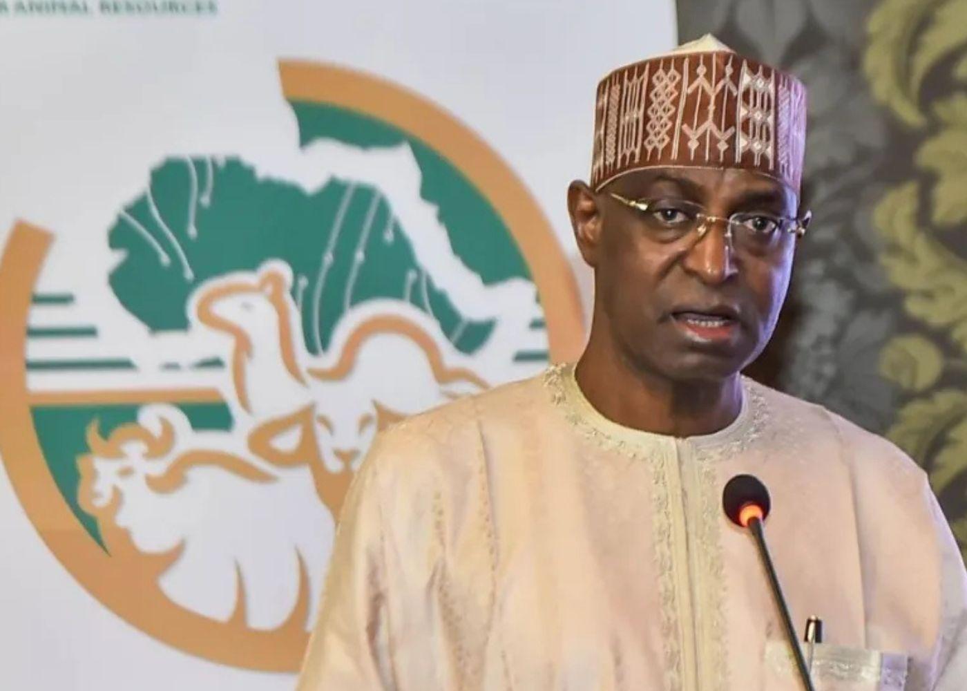 FG Moves to Safeguard $3.2 Billion Livestock Export Market Amid US Sanction Threats