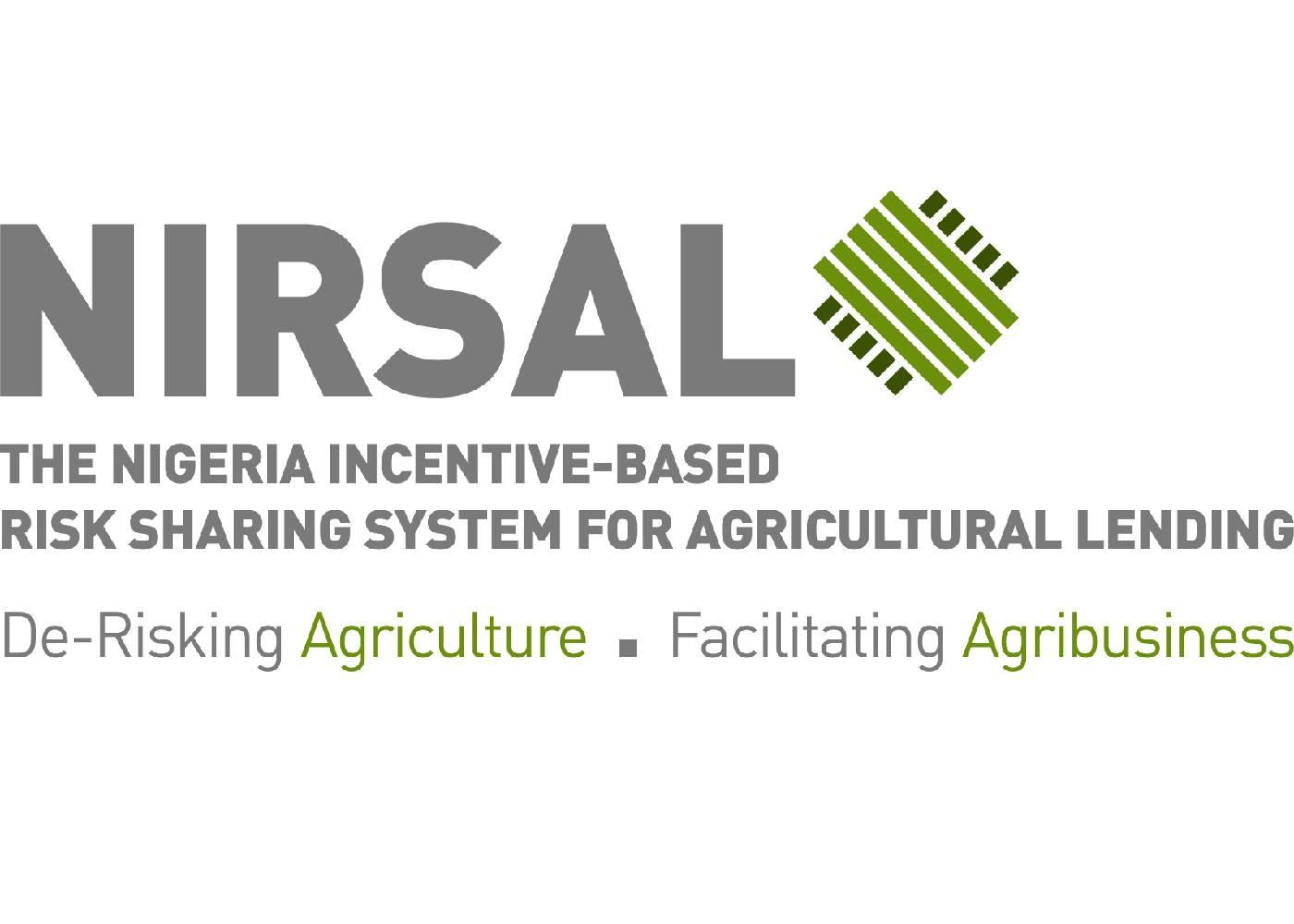 How NIRSAL is Transforming Agricultural Investment in Nigeria