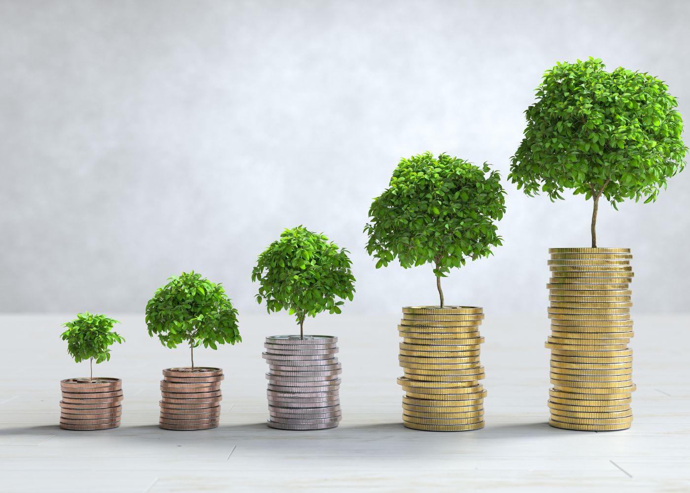 Foreign Investment in Nigeria’s Agric Sector Hits Four-Year High