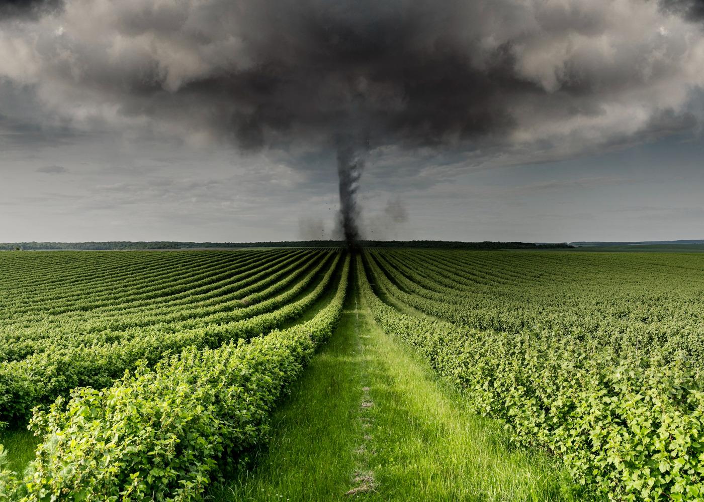 How Climate Change is Affecting Crop Yields in Nigeria