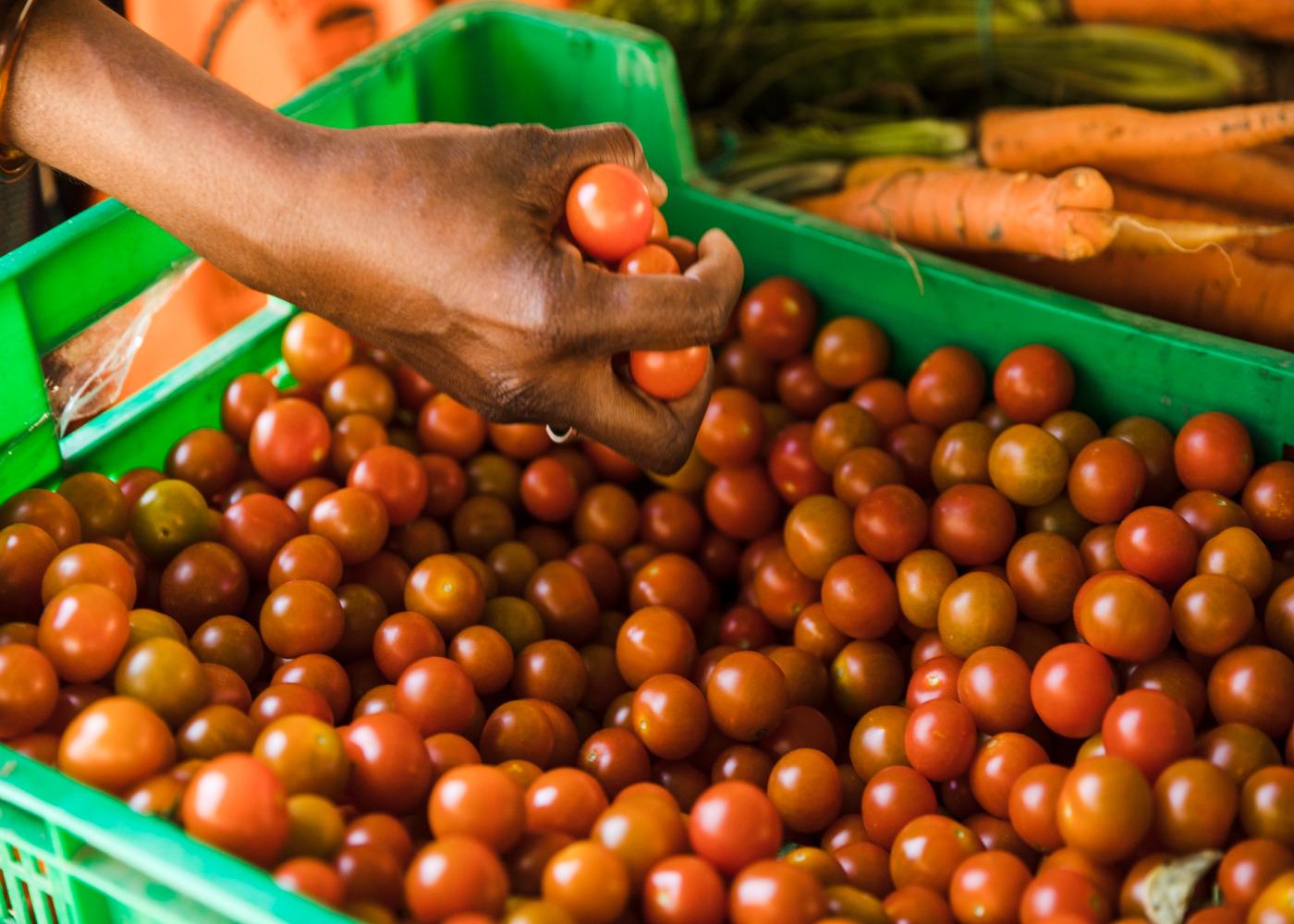 How Reducing Post-Harvest Loss Boosts Your Income and Strengthens the Economy