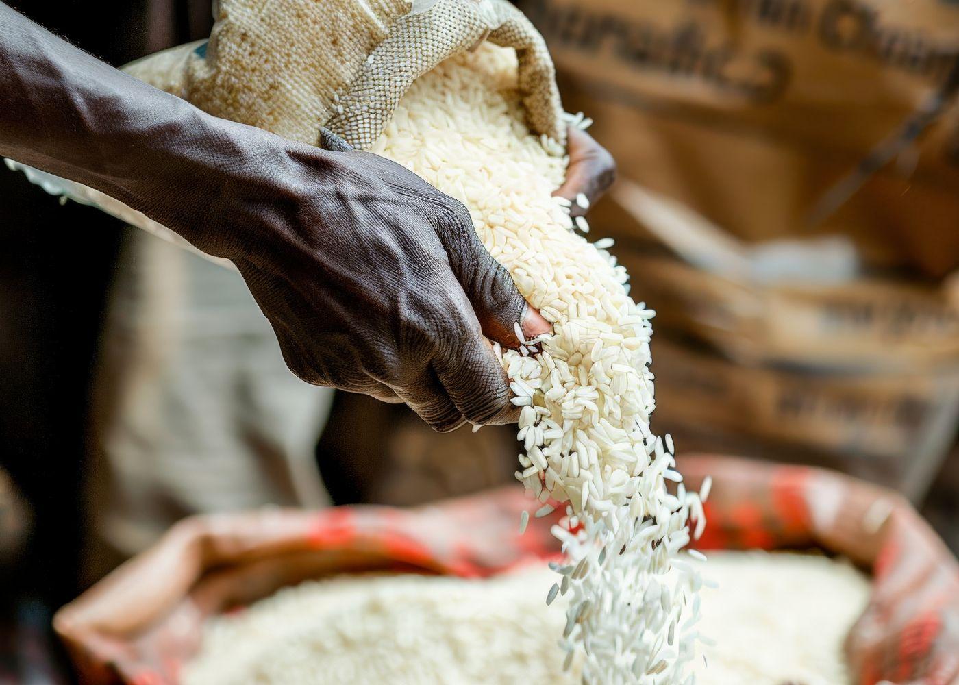 7 ways to Profit More from Africa’s Rice Value Chain (2026 Update)