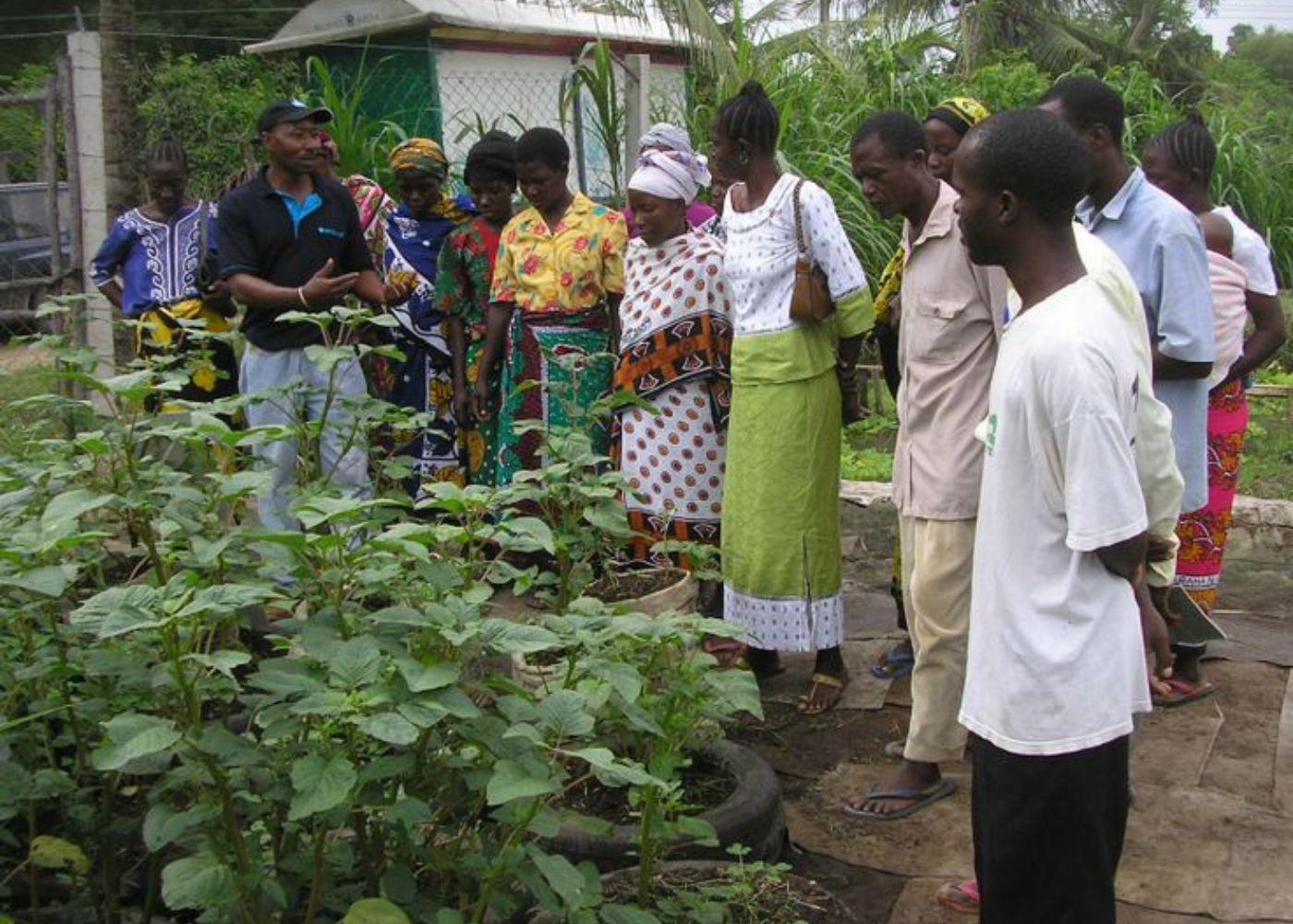 The Importance of Education in Agricultural Development