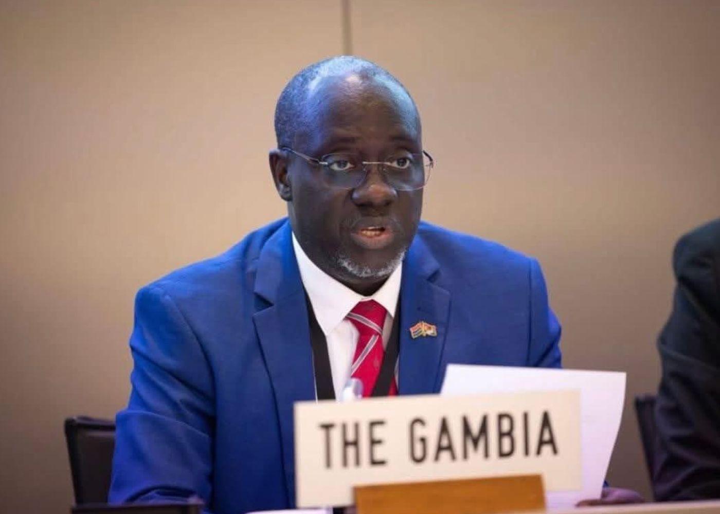 Gambia Minister Admits Lack of Food Consumption Data Amid Import Ban Concerns
