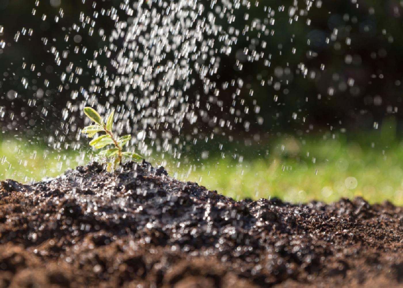 Water Management Techniques for Nigerian Farmers in a Changing Climate