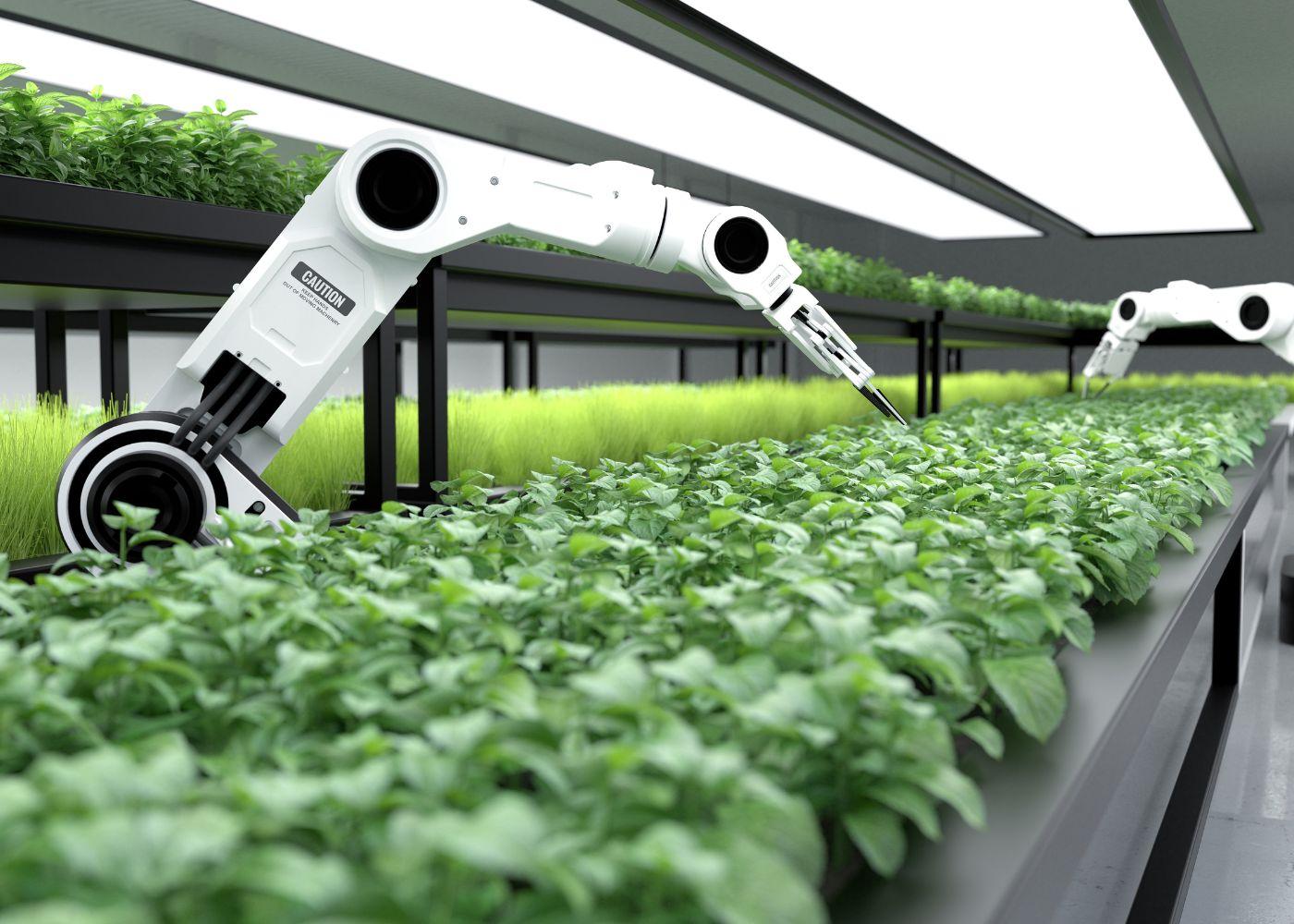 Key Trends Driving The Future of Global Agriculture in 2025