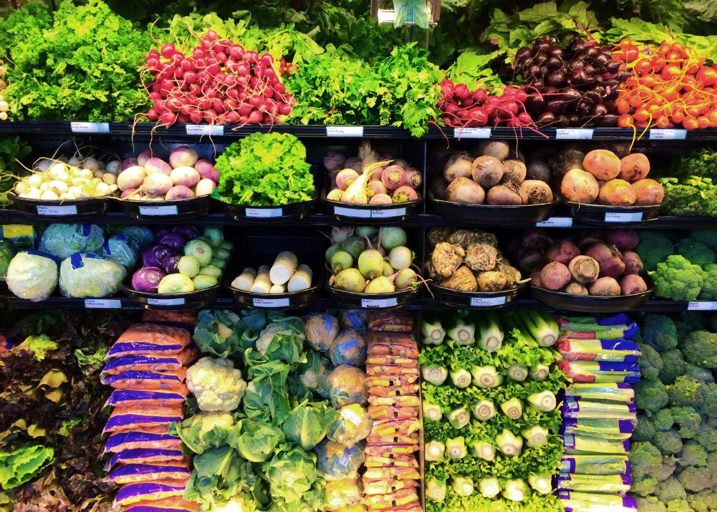 Can The Agricultural Promotion Policy(APP) Revive Nigeria’s Agricultural Sector?