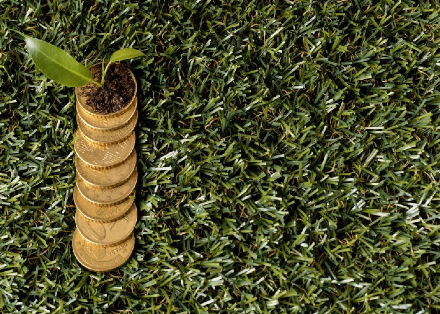 Top 10 Agriculture Investment Opportunities in Africa for 2026