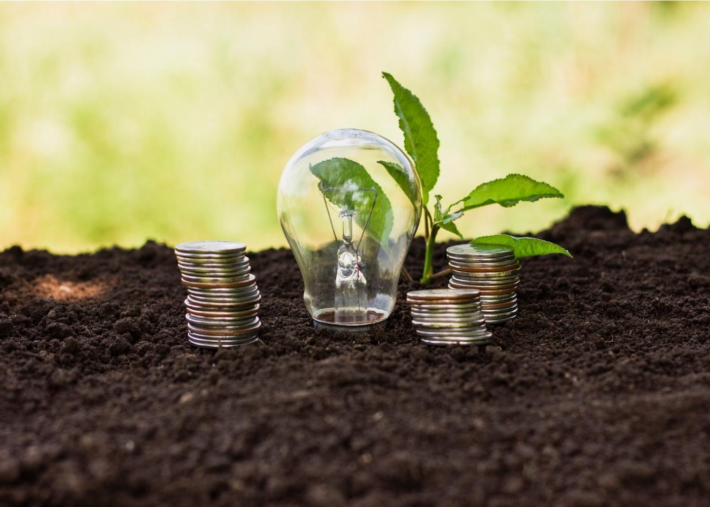 How to Access Financial Support for Agricultural Projects