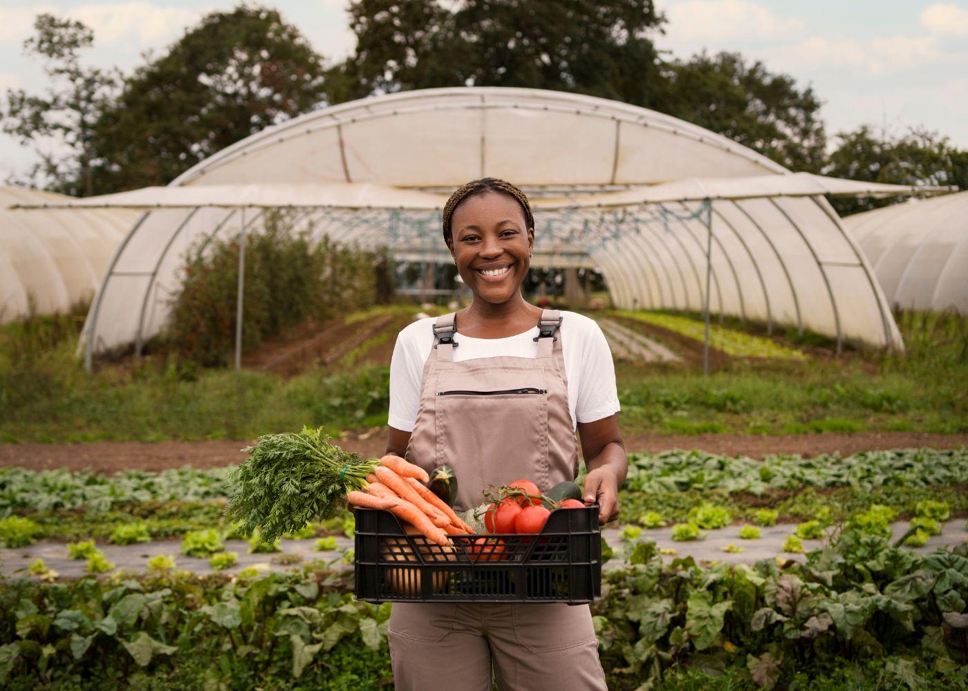 How to Start an Agribusiness in Nigeria
