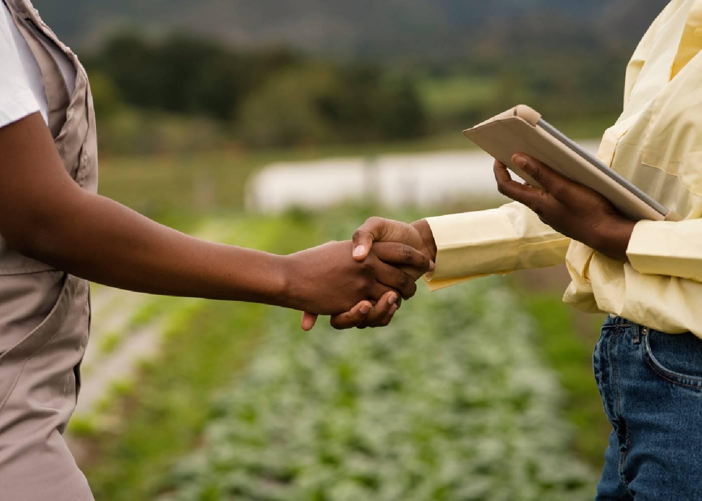 Access to Credit for Smallholder Farmers in Nigeria: Challenges and Solutions