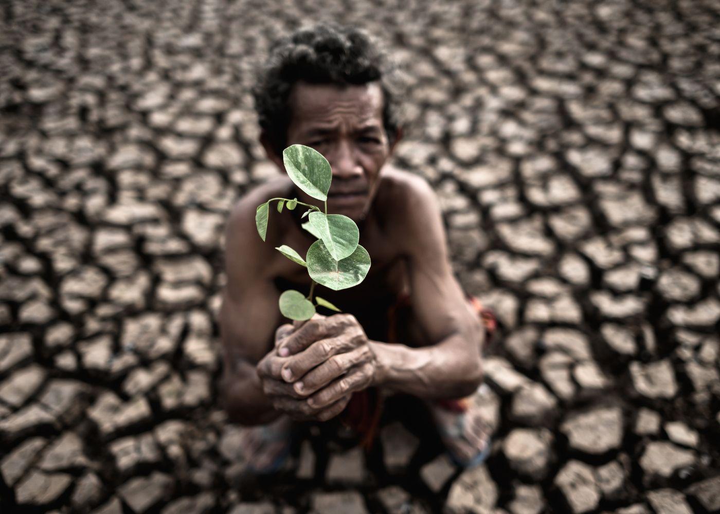 Agriculture’s Impact on Global Warming: What Farmers Can Do