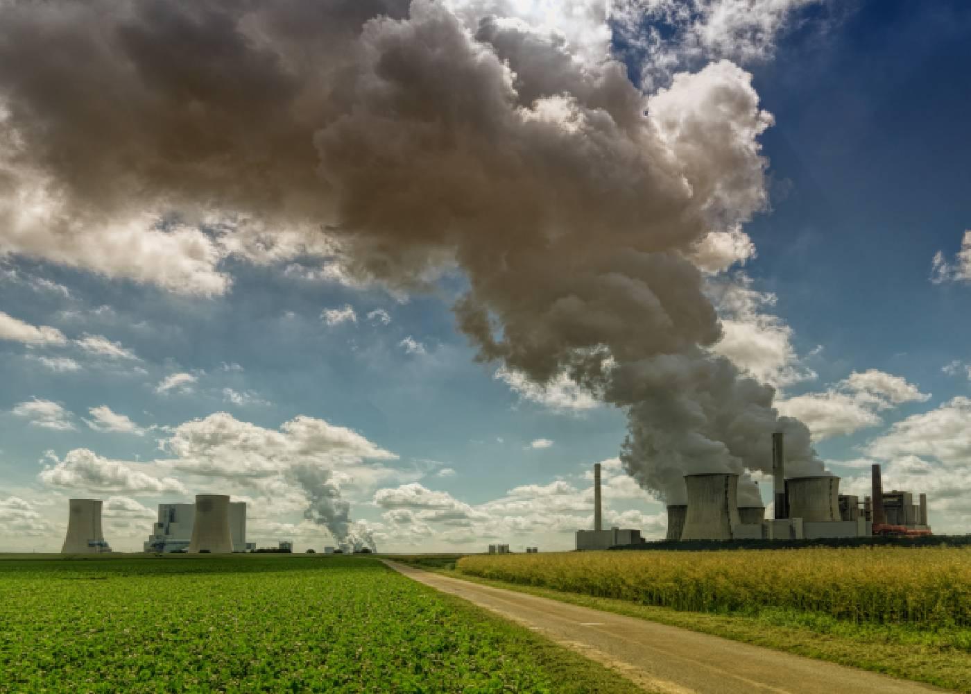 Is Carbon Farming a New Opportunity for Nigeria’s Agriculture?