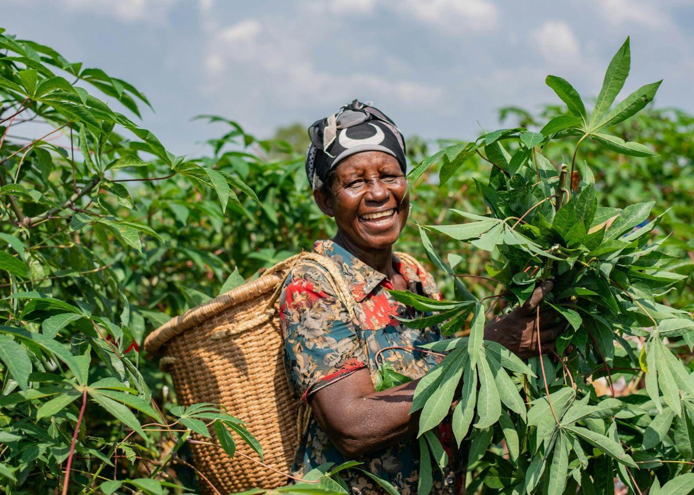 Modern Agronomic Practices: Enhancing Productivity in Nigerian Agriculture