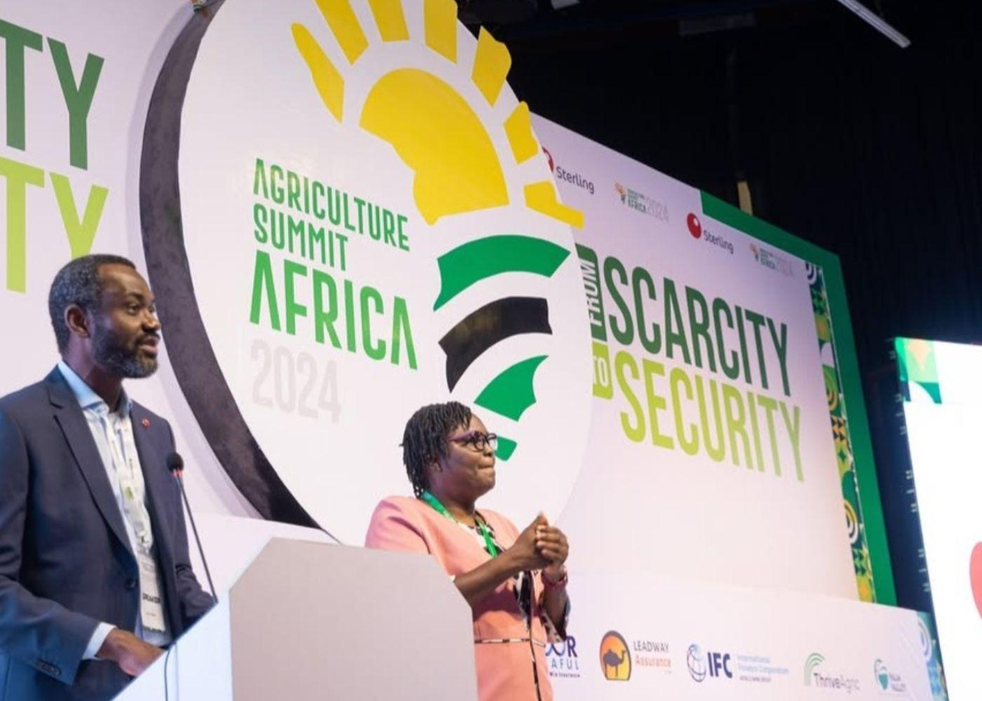 Policy Harmonisation in Nigeria: Insights From Experts