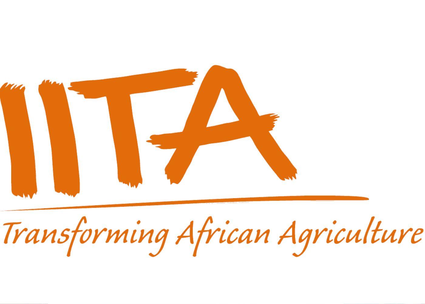 Job| Research Supervisor at IITA