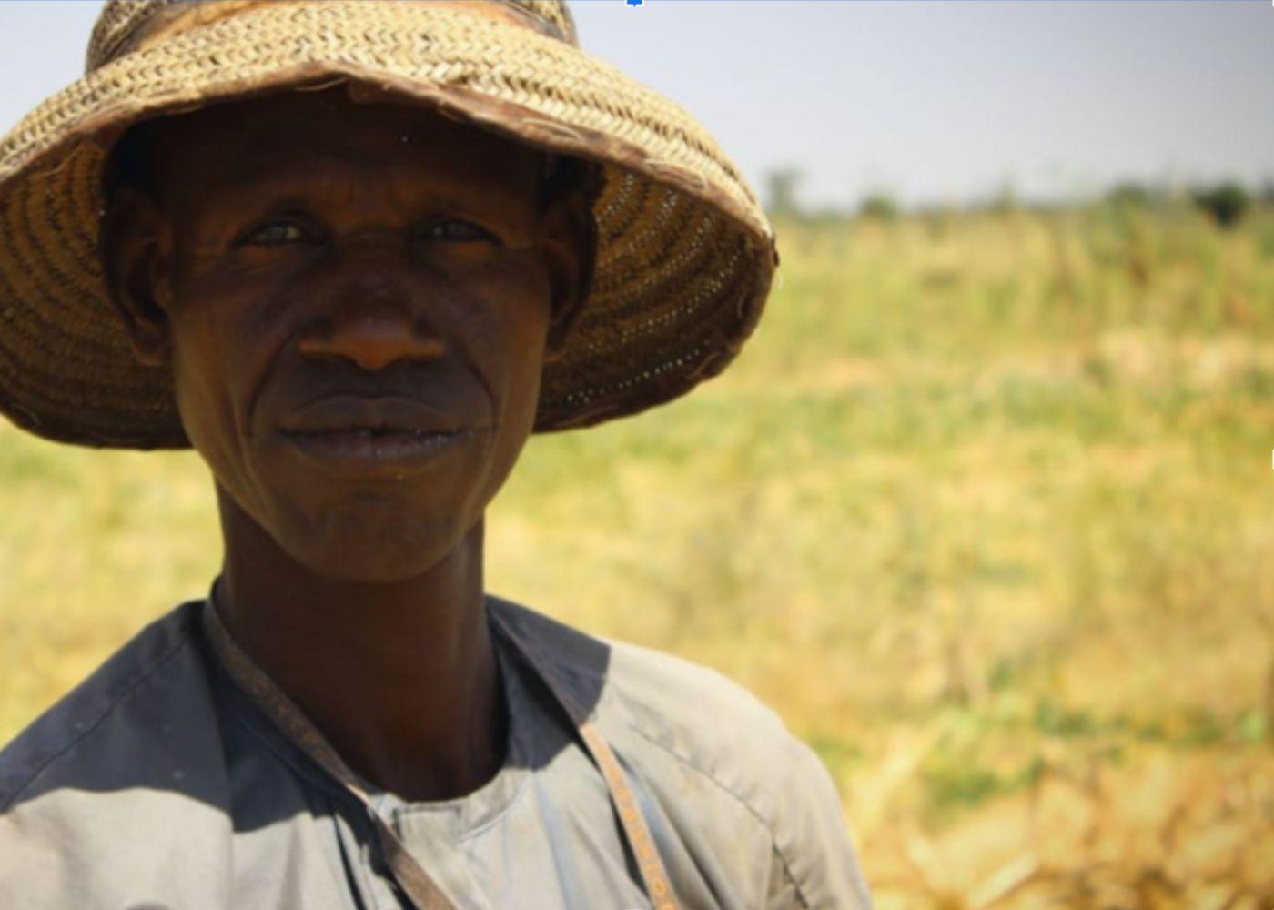 Practical Strategies for Farmers and Stakeholders to Navigate Policy Challenges