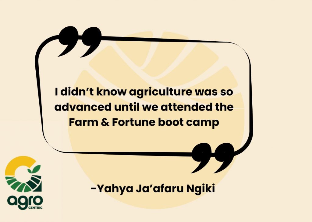 Yahya Ja’afaru Ngiki